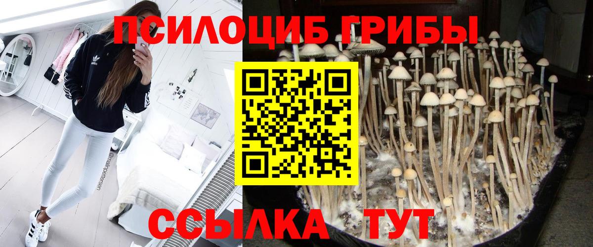 Псилоцибиновые грибы мухоморы Ханты-Мансийск